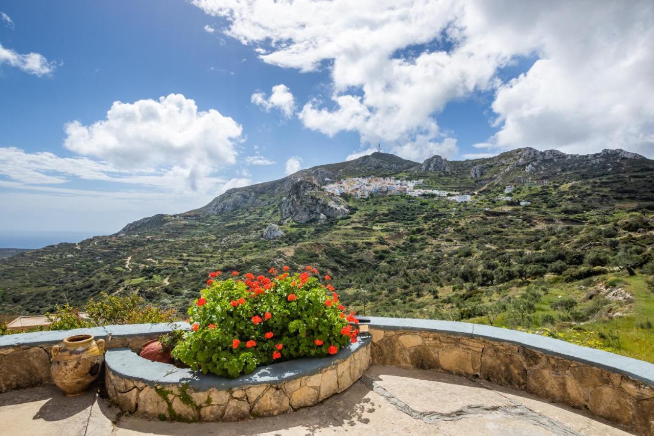 Olive Grove Cottage Menetai Exterior photo