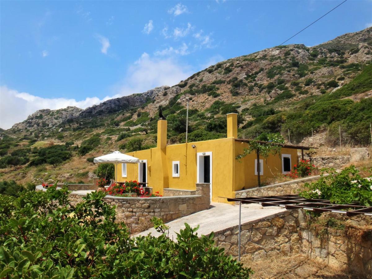 Olive Grove Cottage Menetai Exterior photo